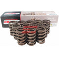 COMP Cams Valve Springs 1.250in Outer