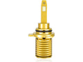 MX SERIES HEADLIGHT BULB PAIR 2 BULBS