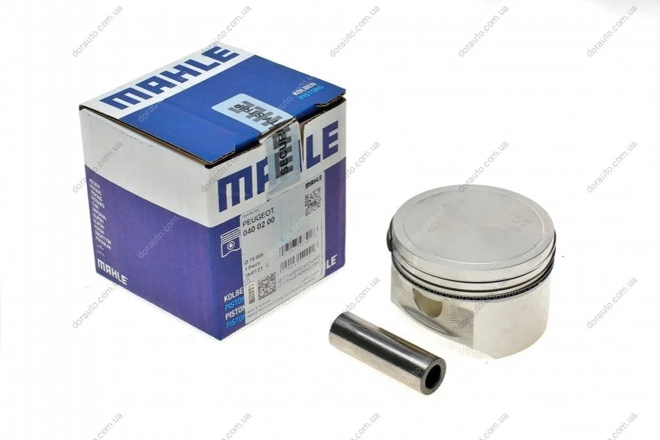 PISTON WITH RINGS