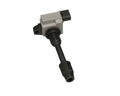 STANDARD IGN auto part detail
