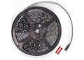 AWNING LED 6000K 30LPM 5M NO PLUG