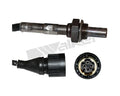 Walker Products Inc. - auto part