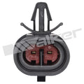 Walker Products Inc. - Sensors exhaust detail