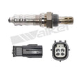 Walker Products Inc. - auto part