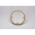 Renthal 1XR Chainring 104 mm. BCD 38T - Hard Anodized Aluminum Gold