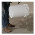 RUSTOLEUM PROFESSIONAL CLEANER DEGREASER 5 GALLON