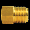 BRASS ADAPTER FEMALE(1/2