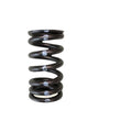Brian Crower VW/Audi 1.8T 20v Valve Spring - Single