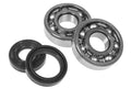 Athena 88-08 Kawasaki KX 125 Main Bearing & Seal Kit