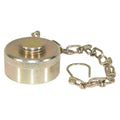 CAP,DUST,1-1/2IN W/CHAIN