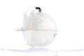 EXPANSION TANK