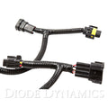 Diode Dynamics - Always-On Module for 2014-2024 Infiniti Q50/Q70 (USDM)