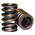 Single Valve Springs - 1.250
