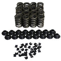 Single Valve Springs - 1.250