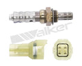 Walker Products Inc. - auto part