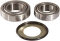 Pivot Works 04-06 Honda CBF250 (Euro) Steering Stem Bearing Kit