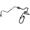 VAPOR CANISTER PURGE VALVE HOSE