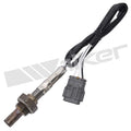 Walker Products Inc. - auto part