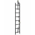 SFI 16.1 L&L HARNESS 2' PULL DOWN L