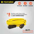 Champion Power Equipment auto part