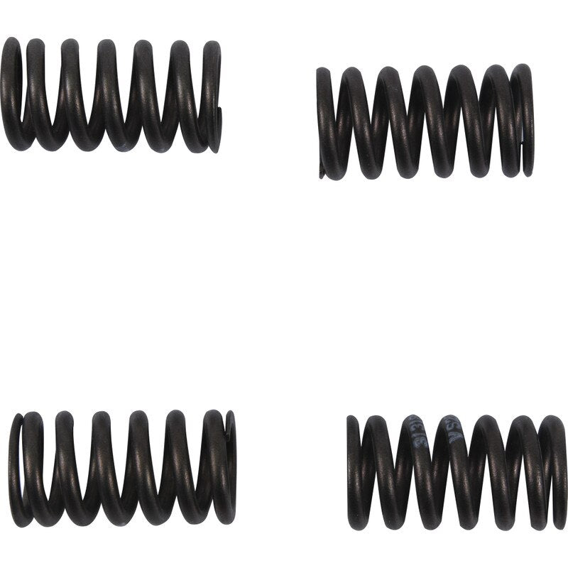 Hot Cams Valve Spring Kit, ea, 1