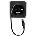 Planet Audio gauge