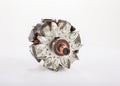 ROTOR