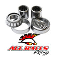 All Balls Racing 10-22 Suzuki VL800 C50 Swing Arm Bearing Kit