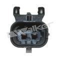Walker Products Inc. - Sensors exhaust view