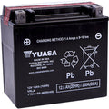 BikeMaster Battery - BTX14-BS
