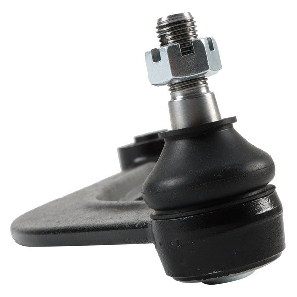 DELPHI control arms