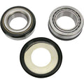 Pivot Works 19-23 Honda CRF110F Steering Stem Bearing Kit