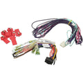 0607 HONDA ACCORD 2 DOOR WIRING KIT