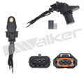 Walker Products Inc. - Sensors auto part detail