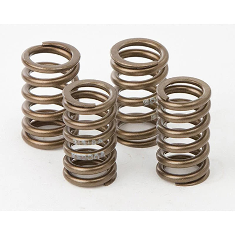 Hot Cams Valve Spring Kit, Boxed, ea, 1