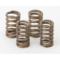 Hot Cams Valve Spring Kit, Boxed, ea, 1