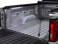 Access Accessories SMART Pack (EZ-Retriever II Truck Bed LED Light and Trailseal)