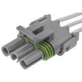 PIGTL/SKT