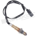 OXYGEN SENSOR - OE REPLACEMENT