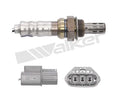 Walker Products Inc. - Sensors auto part detail