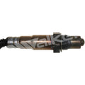 Walker Products Inc. - auto part