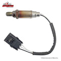 10AN TO 20FT BLACK FLEXLOC PUSHON HOSE