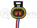 STANDARD IGN auto part detail