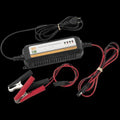 BikeMaster Lithium Ion Battery Charger