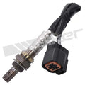 Walker Products Inc. - auto part