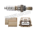 Walker Products Inc. - auto part