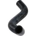 CURVED RADIATOR HOSE DAYCO