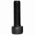 AP Exhaust Products - 532078