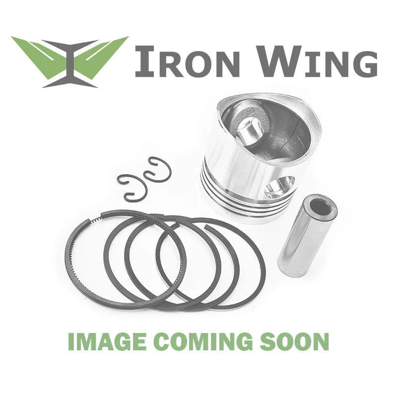 PISTON WITH RINGS