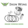 PISTON WITH RINGS